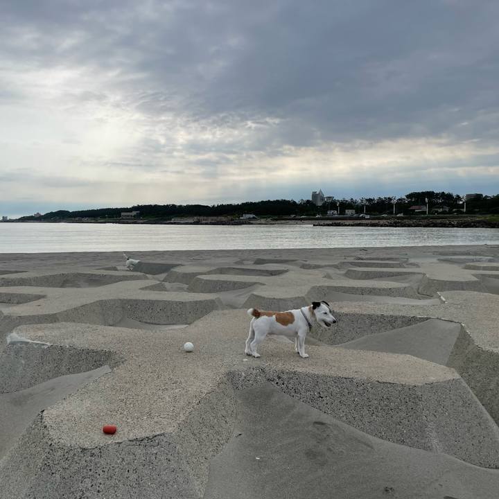 C4673efd c788 455a bba1 d754a2276103 1686368223365