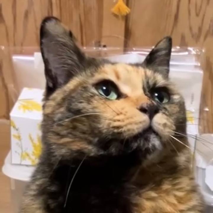 C4675fe7 c547 4dce 80e2 00387df1ffd7 1734349408322