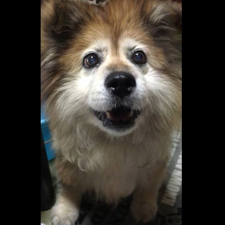 C467627a 9843 409b b713 8d74a9f8dcec 1633932391555