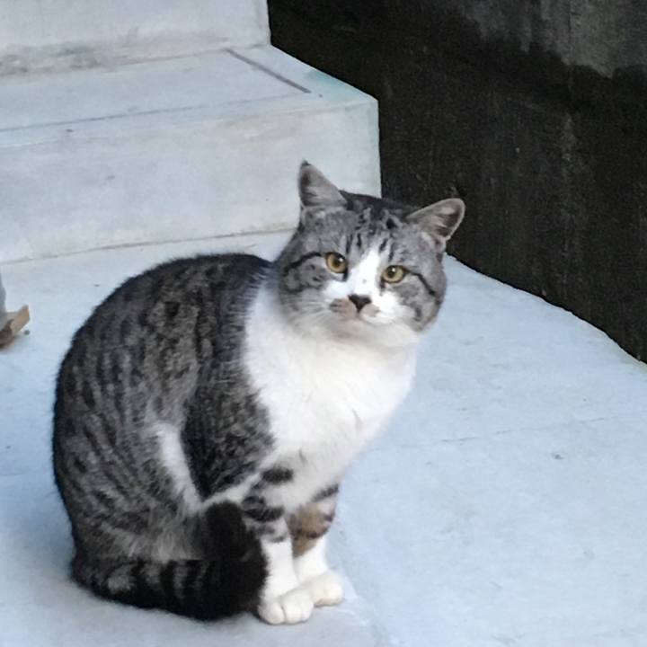 C467914b 9fa3 4c1c 90b1 bb40b5552890 1515917516359