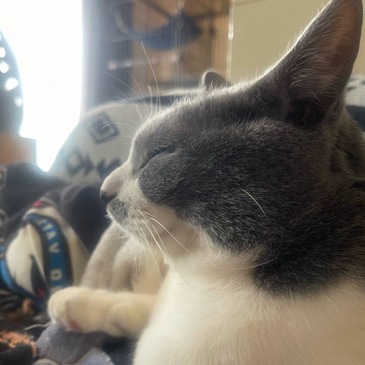 C467ab6b e176 4cad a98c f74bcb880380 1736651827764