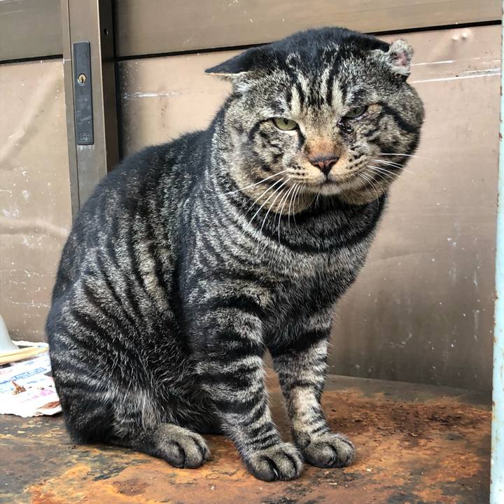 C4681403 125d 451e b508 0e2500b21edf 1526651934748