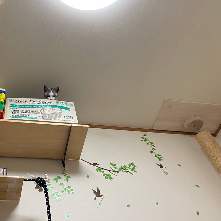 C46814e2 90fd 4985 bd65 88e2e86308f5 1648027956089