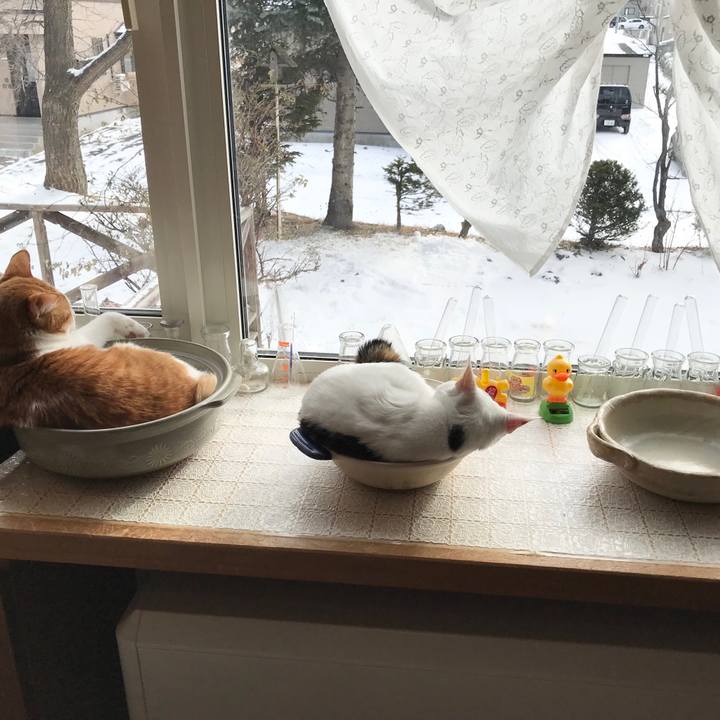 C4681642 5552 49aa 9c10 63213d4ad2d2 1577584763720