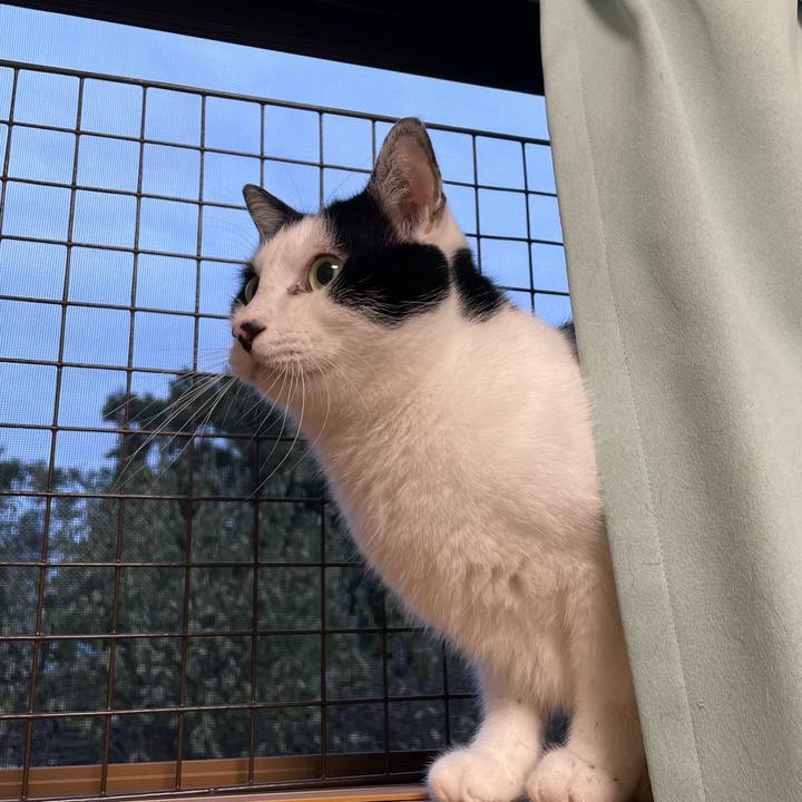 C4681a39 1218 4f6e 8ac2 42314e59f9a8 1665302199803