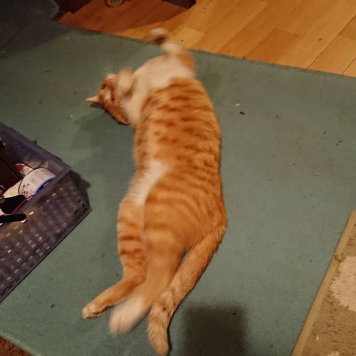 C4682bbe 93f6 4052 9325 e4a51401e793 1572425836800