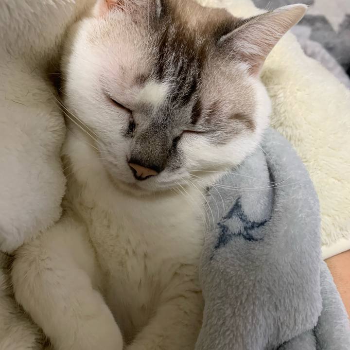 C46830da b91d 4aa5 b9b4 0c77e11897cb 1636966062152