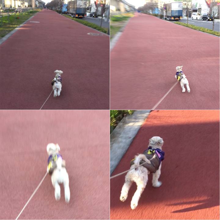 C4683658 5ca3 4cbb 9de3 09c9a2d8928c 1545724542274