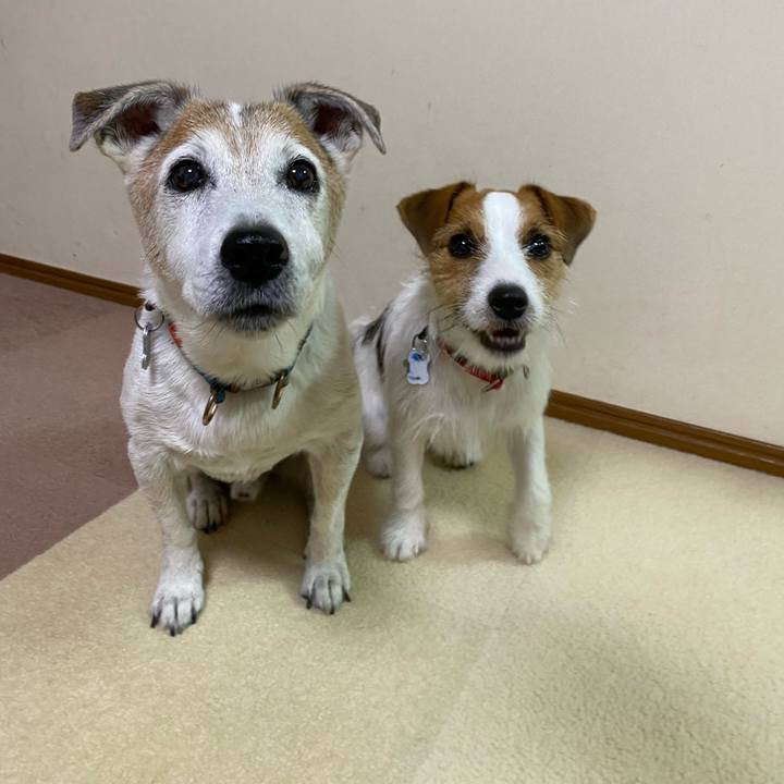 C46846af 0f18 4a01 a9b1 43c096c3887c 1628504223080