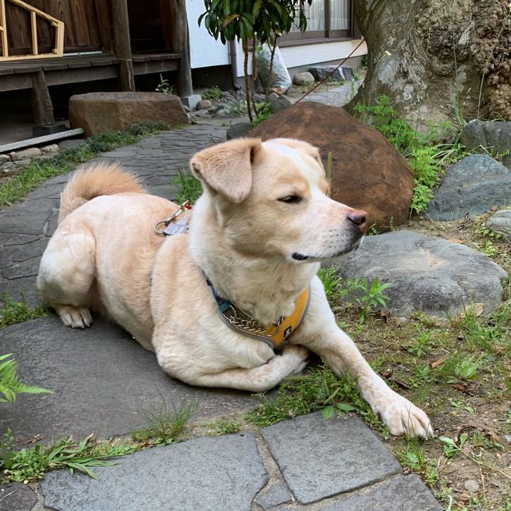 C4685040 0b36 41d7 a4f7 e9dee4ea0416 1557535562909