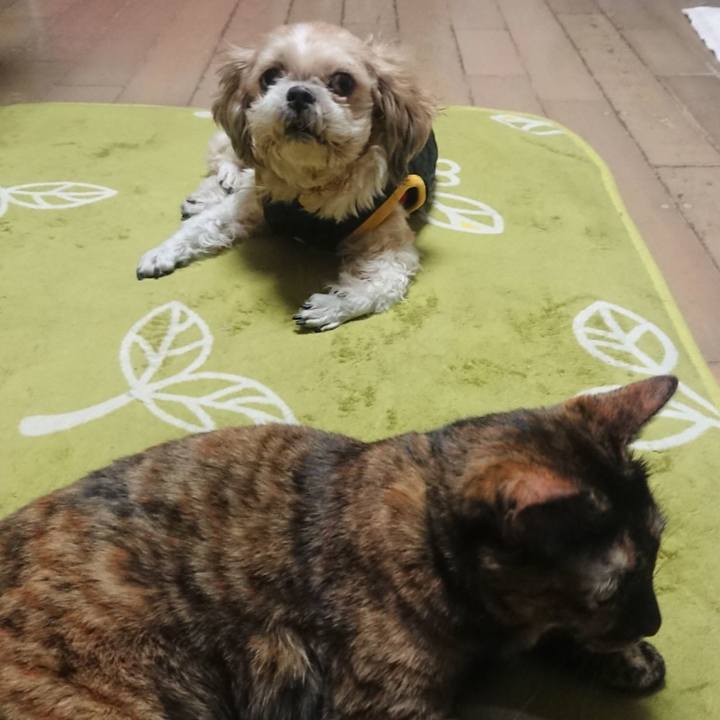 C46860ed 33b5 4cab a26f 7775c7e32c8e 1638626516606