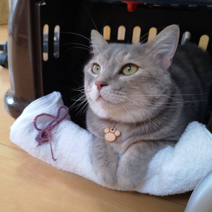 C46874e9 4911 4fc8 a2e4 a2edb857cbef 1561604238612