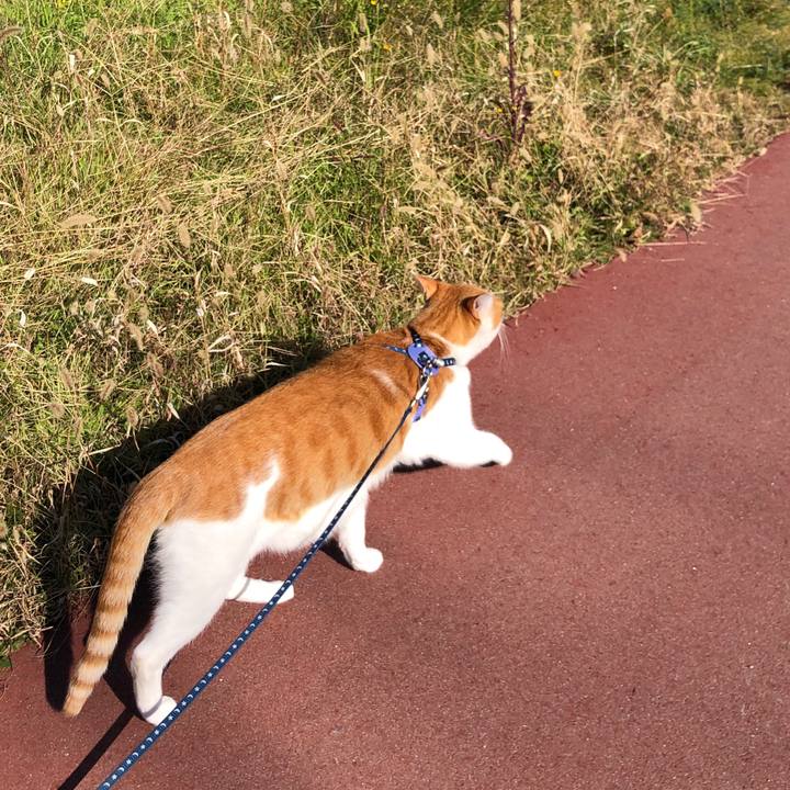 C4687601 2f00 48b2 9c27 405096c6a181 1542513154647