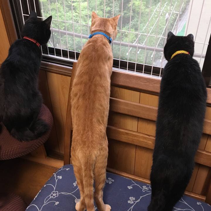 C4687a4e b0c0 4e27 850f 92cf93516648 1532353718936