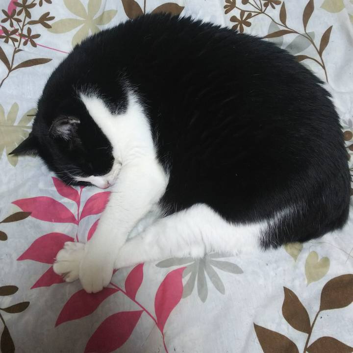 C46885ad 2f6d 4b64 b851 2115505fc325 1543355291506