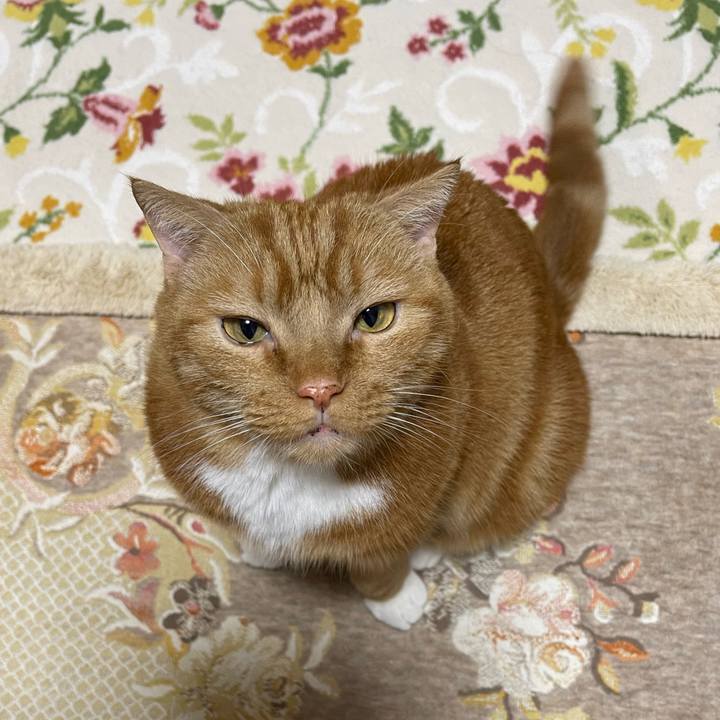 C468e72e 21bb 4971 8b44 b76756f8ddc4 1665488851394