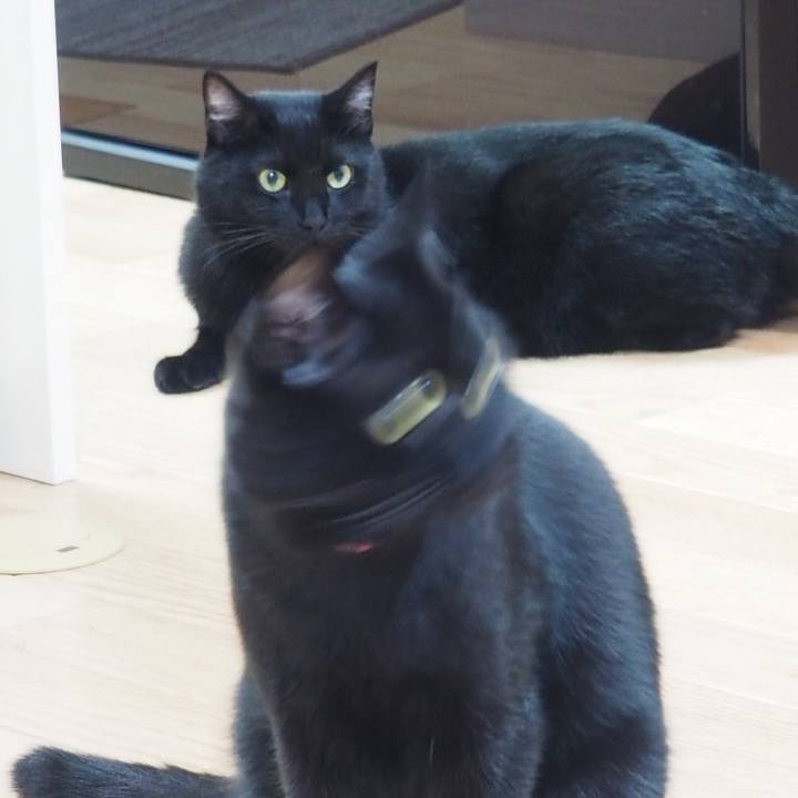 C46902a7 ba68 4619 b89f ffd3b3ff6ae8 1560728412612