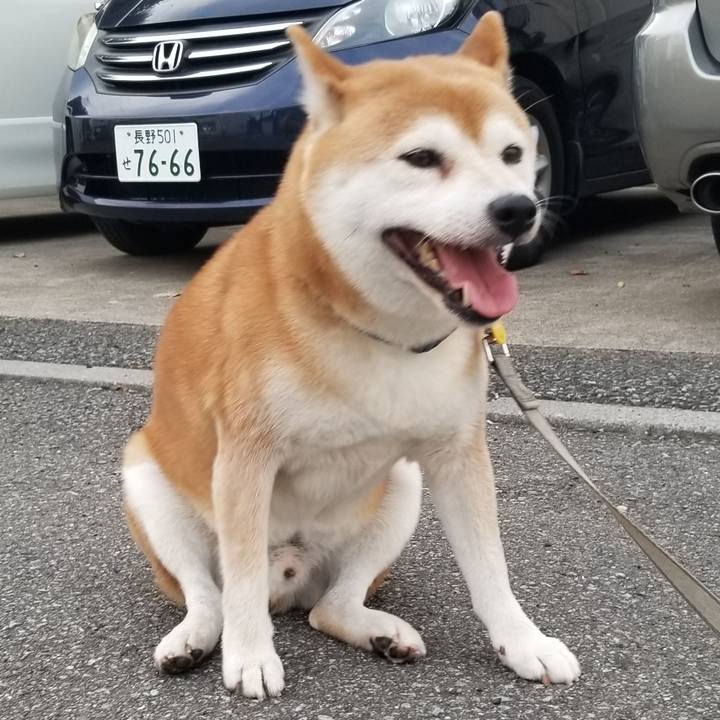 C4690a1c f6df 4f37 8b03 bb31b54fdce3 1567673070888