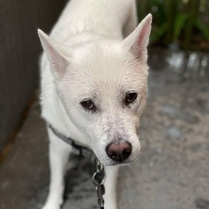 C4690c7f 904b 4f06 95cc eccde6557ed1 1625877864090