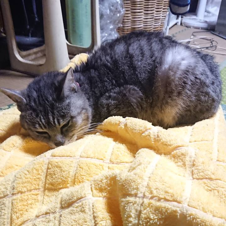 C469135f 369f 4898 8962 cb6ded462272 1589276167606