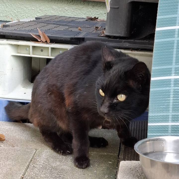 C46921bd a520 41fd 8a18 4aa9ac06505f 1743426746770