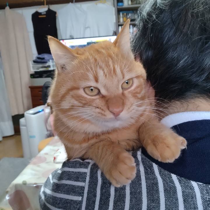 C469355a c433 4261 b274 678fce6b845a 1673334621308