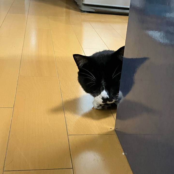 C4693ab9 ca17 4d55 a4fc 76a367dbd908 1724125619414