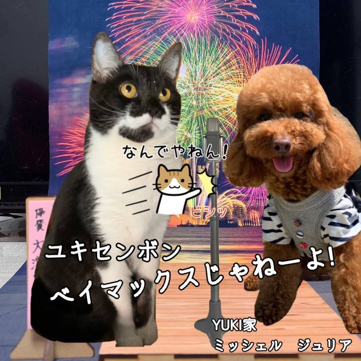 C46942e7 927e 4cb4 acda 81ada52b3129 1628160666804