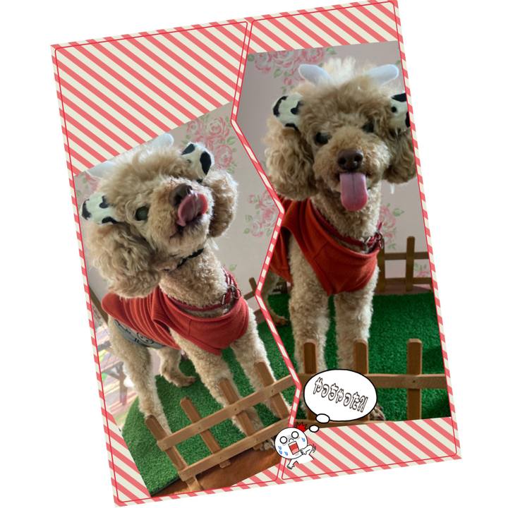 C4696b6a ee21 4c25 b6d9 1f3bf20fb114 1607482439415