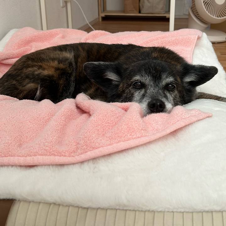 C469710d 033a 4593 9061 a60159f3d780 1717021022044