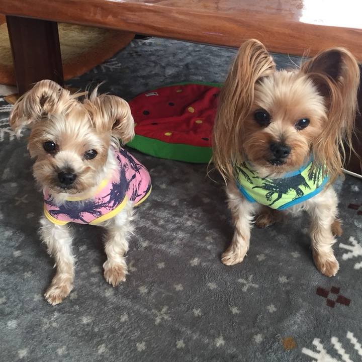 C4698c04 7ef8 4bf7 b465 b3332098f367 1547545933108