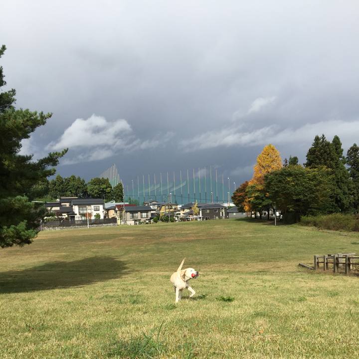 C469c4ba a209 4497 bda4 38dee9695247 1548741610585