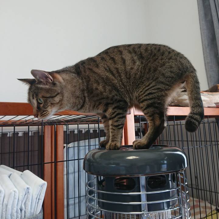 C469f7ff daf7 4877 8070 61eafc86ad35 1554634213500