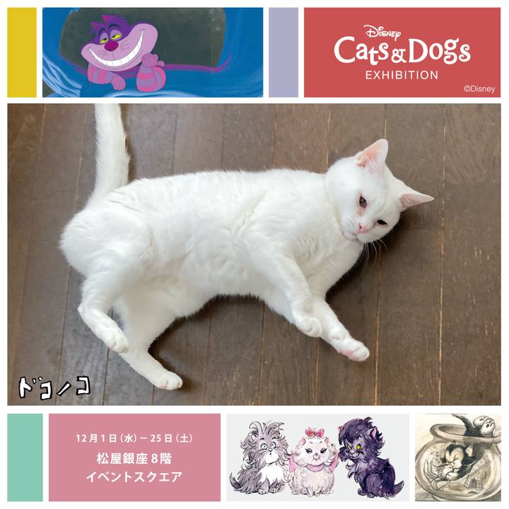C469fd18 20b8 4679 b8c2 19be994767c5 1639569640526