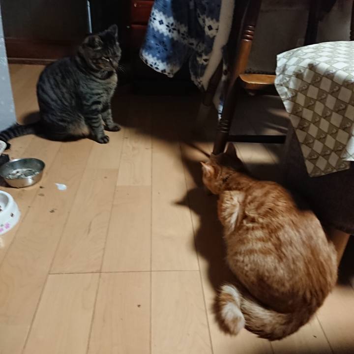 C46a5c3c 7b36 405a b797 c1b2af08a102 1643058196667