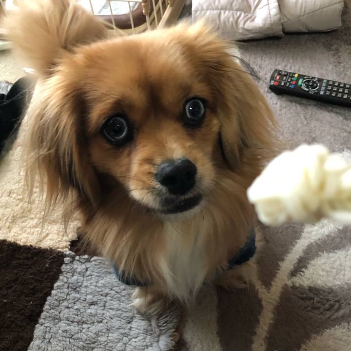 C46a7120 5f58 4801 aaae 691adb2803f7 1549925414595