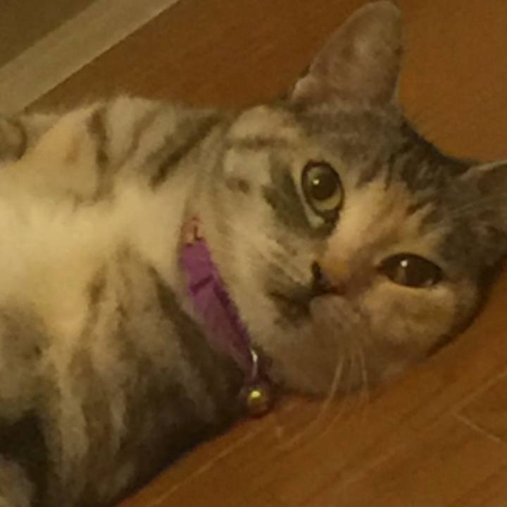 C46a8f15 616b 4db6 bd41 1bb1f77ff94d 1556027460548