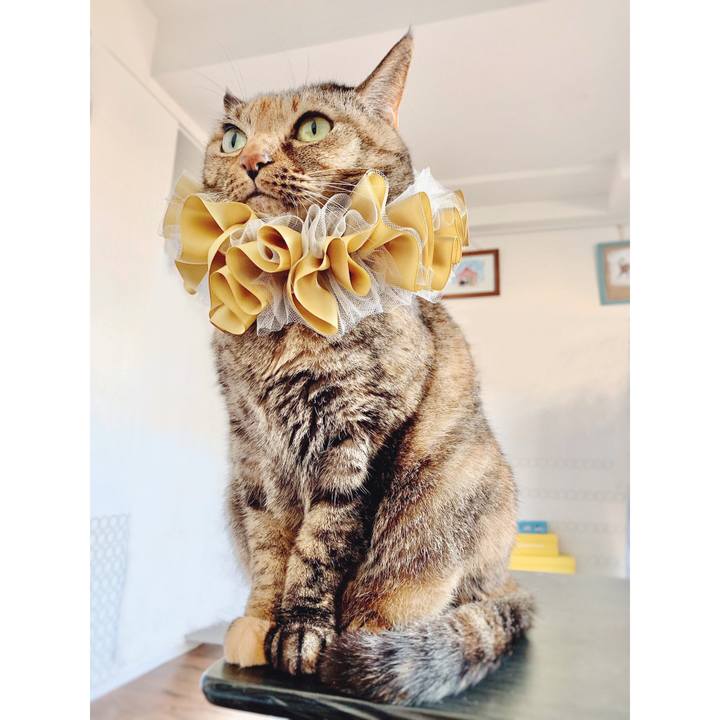 C46a900c 73ee 44f9 b4eb 72d5a7aa06a9 1617147927971