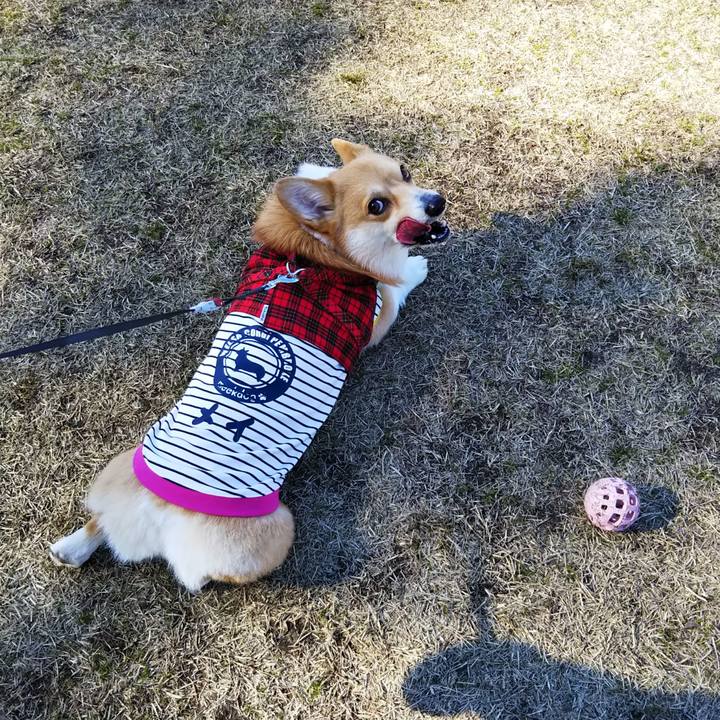 C46aaf3b 9f49 4b80 90de 451952ace5d9 1552116211550