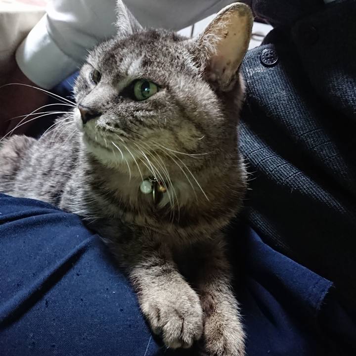 C46ab8d8 9db7 45e8 9d86 3cc8313001f9 1582796264551