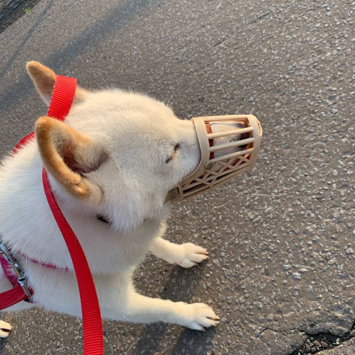 C46ac4f0 0101 4fca a6e6 06c9adb05865 1563571388112