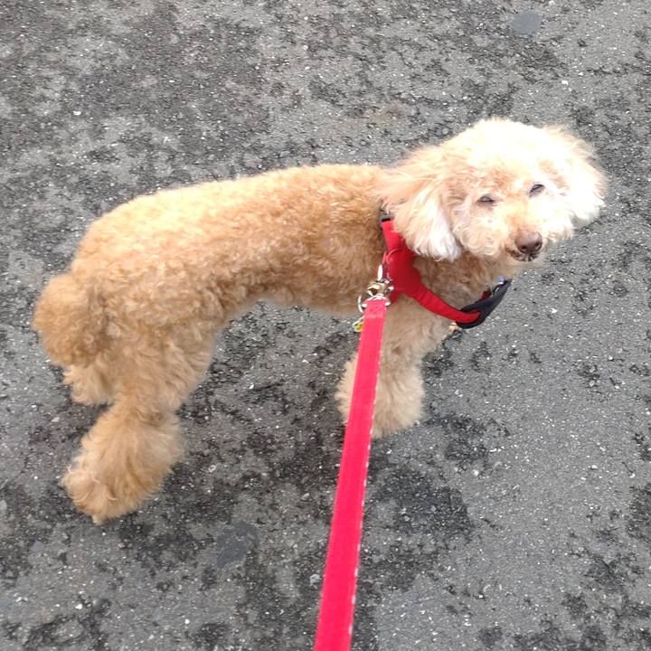 C46accdb a573 4fe7 96bb be980e58295c 1655636389841