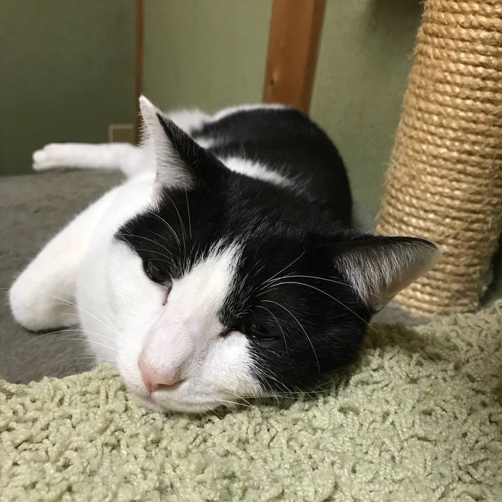 C46ada6b befa 4e6a 80e1 ff2e402c7e68 1511272920378