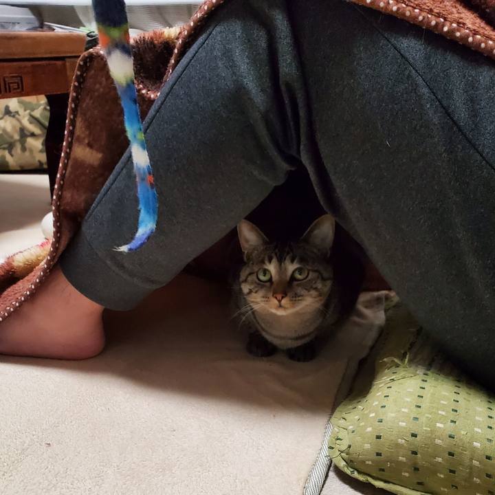 C46adb09 f412 4b79 aaf4 db4c1150d567 1706197802896