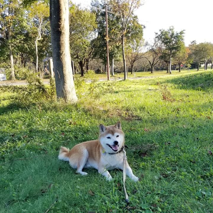 C46aefb7 65c1 4ac9 bf53 35073fff5a8b 1664522054308