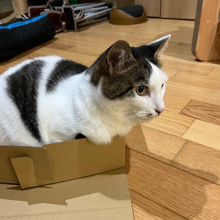 C46af167 8576 4999 af02 985b69411f5a 1717768071314