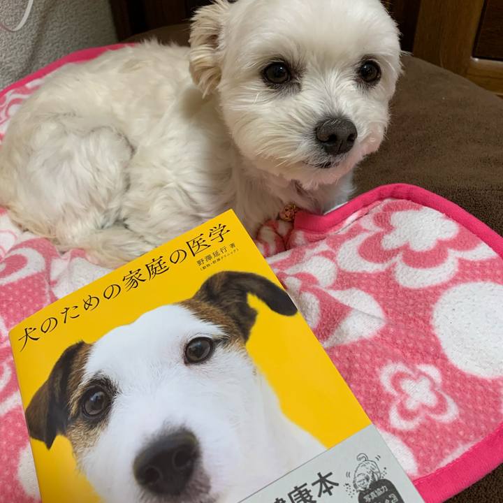 C46b1c29 3bbc 4ecc 8749 760a42b269c5 1576919161468