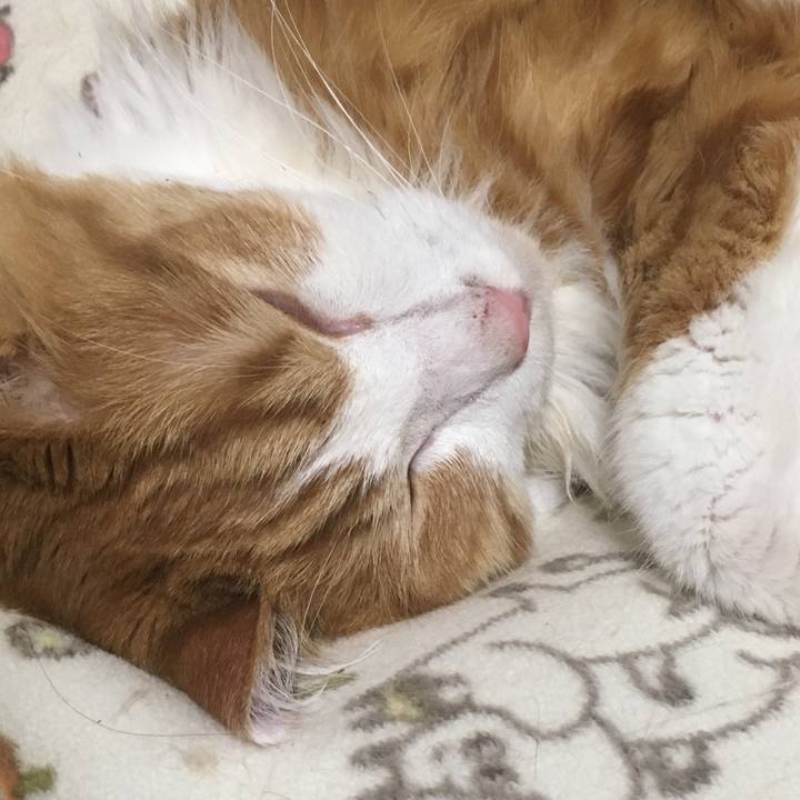 C46b26f0 419b 4840 9bd2 385d0e4fd009 1561040579377