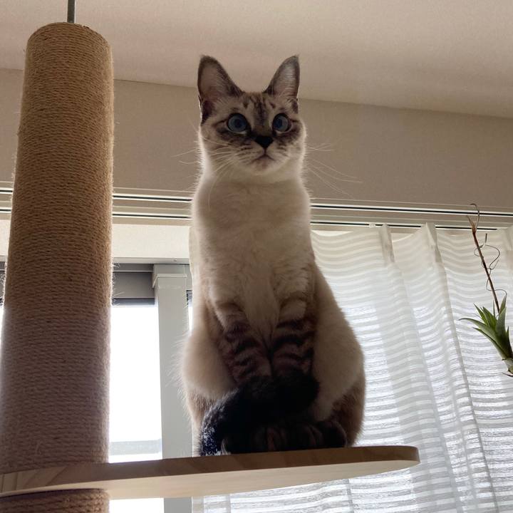 C46b2950 8ea1 47e0 9cb4 c075d481ebd8 1603503406379