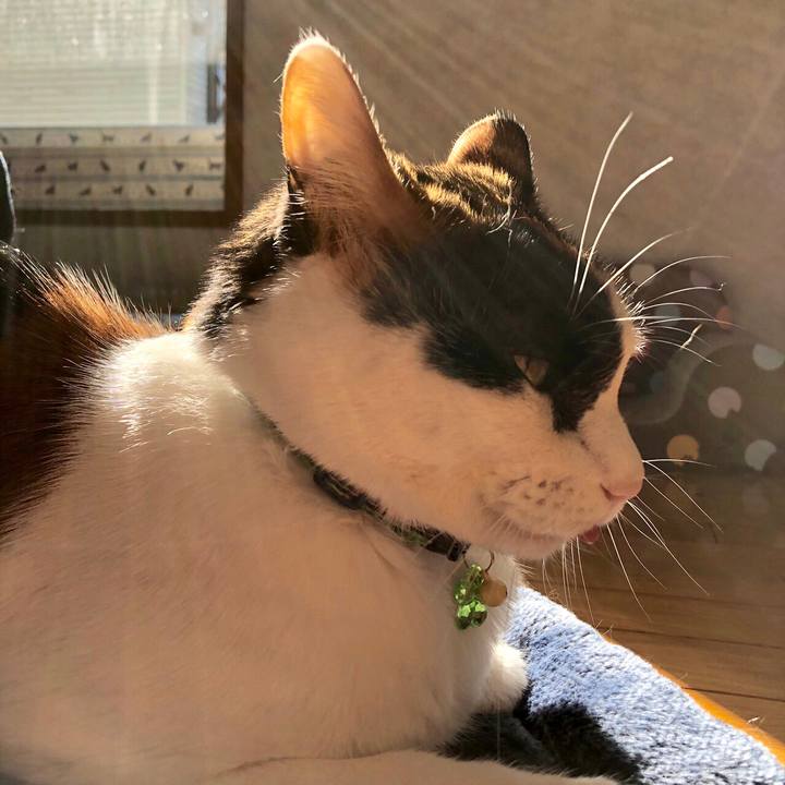 C46b5ab2 b44f 4158 ae15 53d799c39ea1 1548552827122